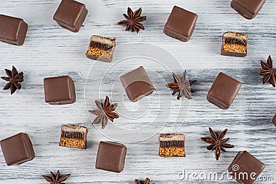 Domino stones, a german traditional christmas sweet with gingerbread, marzipan and jelly covered with brown chocolate, Dominostein Stock Photo