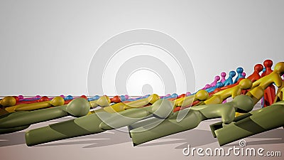 Dominós humanos Dominós humanos