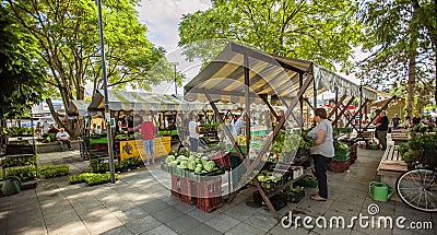 DOMZALE, SLOVENIA - Jul 15, 2019: Sunny Saturday morning at farmer's market Editorial Stock Photo