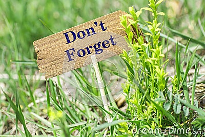 Don`t forget wooden sign Stock Photo