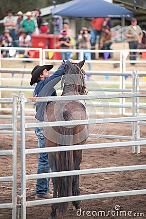 Donal Hancock, Horseman, Training Horse at Festival Editorial Stock Photo