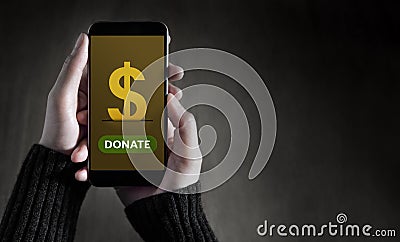 Donate Online Concept, Female holding Smart Phone with Application Campaign, Dollas icon and Button on Screen Stock Photo