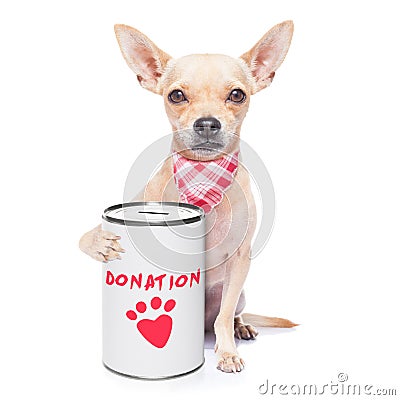 Donation dog Stock Photo