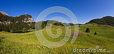 Donje bare lake in Sutjeska national park Stock Photo