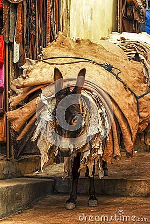 A donkey carries a huge pile of animal hides through the streets Stock Photo