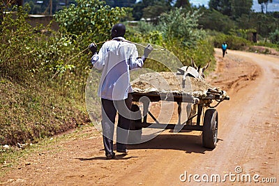 Donkey cart Editorial Stock Photo