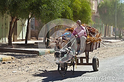 Donkey Cart Editorial Stock Photo