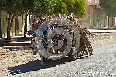 Donkey Cart filled with dryed palm leaves, Morocco Editorial Stock Photo