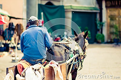 Donkey cart by Marrakech in Morocco Editorial Stock Photo