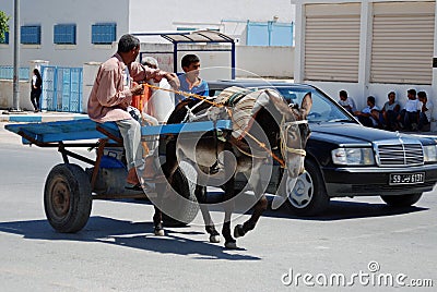 Donkey & Cart by Mercedes, El Djem, Tunisia Editorial Stock Photo