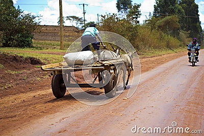 Donkey cart Editorial Stock Photo