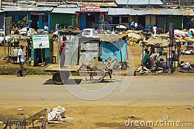 Donkey cart Editorial Stock Photo