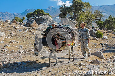 Donkey in the farm at countryside on a mountain path carry cargo with a young boy Editorial Stock Photo