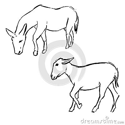 Donkey ink sketches. Wildlife animals drawings set. Forest nature theme monochrome artworks collection. Vector simple style design Vector Illustration