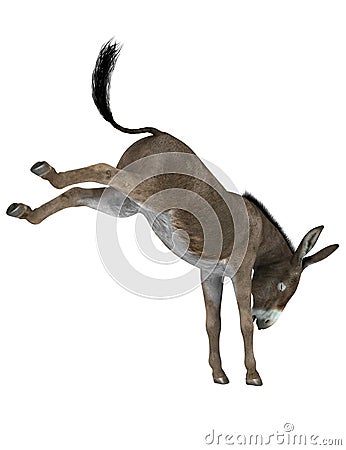 Donkey kicking Stock Photo