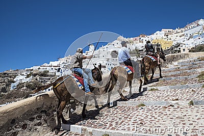Donkey ride in Santorini Editorial Stock Photo
