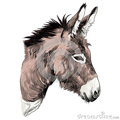 Donkey sketch vector Vector Illustration