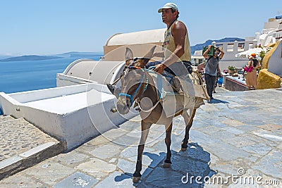 Donkey Transport in Oia, Santorini, Greece Editorial Stock Photo