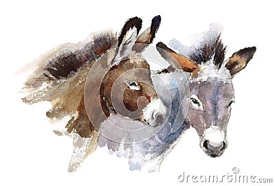 Donkeys Watercolor Animals Illustration Hand Painted Cartoon Illustration