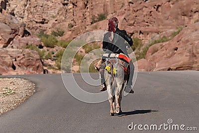 Donkeys working as transport and pack animals in Petra, Jordan. Persistent animals used to transport tourists around the ancient Editorial Stock Photo