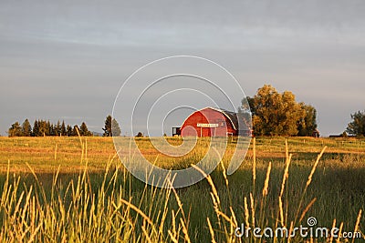 Donnelly ID barn Stock Photo