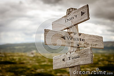 dont waste time text engraved on old wooden signpost outdoors in nature Cartoon Illustration