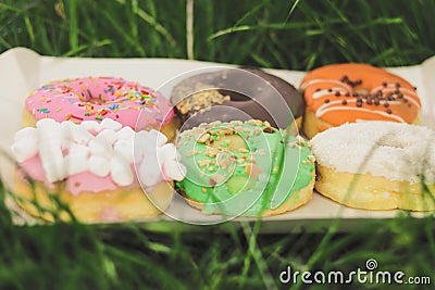 Donuts on the grass grass Stock Photo