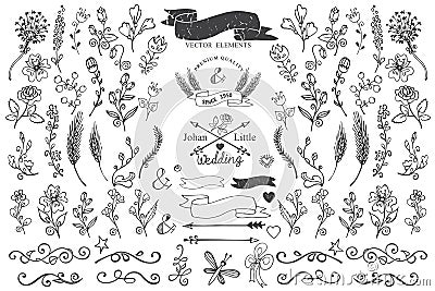 Doodle borders,ribbons,floral decor element for Vector Illustration