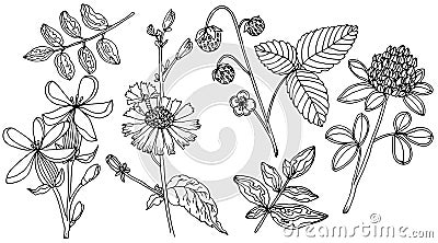 Doodle floral set vector with doodles black and white elements for coloring page Vector Illustration