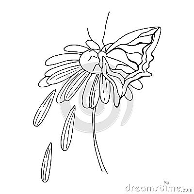 Doodle flower drawing Vector Illustration