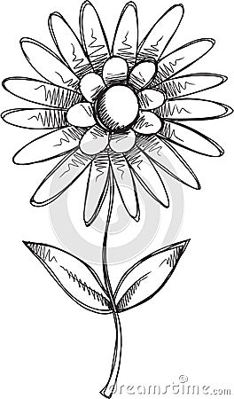 Doodle Flower Vector Vector Illustration