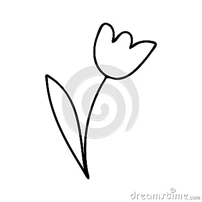 Doodle flowers contour line drawing.Black and white image.Simple flower isolated on a white background.Vector Vector Illustration