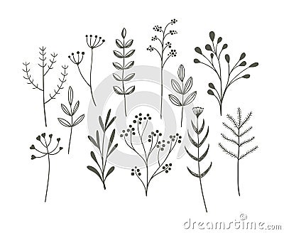 Doodle grass set. Vector Illustration