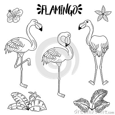 Doodle hand drawn rose pink flamingo set Vector Illustration