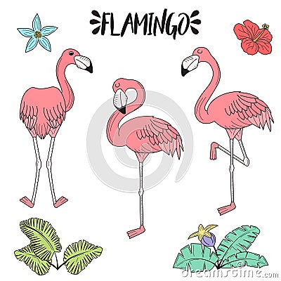 Doodle hand drawn rose pink flamingo set Vector Illustration