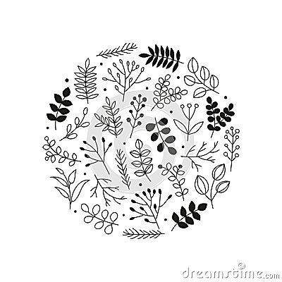 Doodle leafy twigs, wild herbs, plants, berries in circle. Vector Illustration