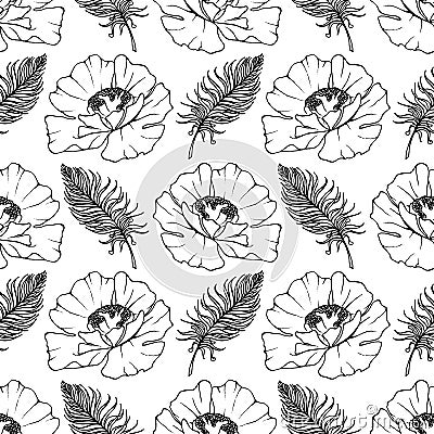 Doodle monochrome poppies feathers seamless pattern background texture vector Vector Illustration