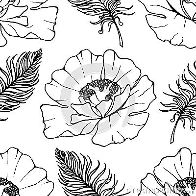 Doodle monochrome poppies feathers seamless pattern background texture vector Vector Illustration