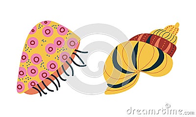 Doodle Ornamental Seashell with Hard Marine Shell Vector Set Vector Illustration