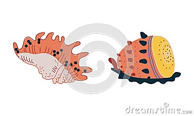 Doodle Ornamental Seashell with Hard Marine Shell Vector Set Vector Illustration