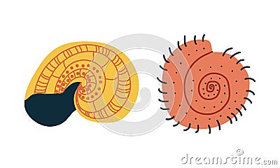 Doodle Ornamental Seashell with Hard Marine Shell Vector Set Vector Illustration