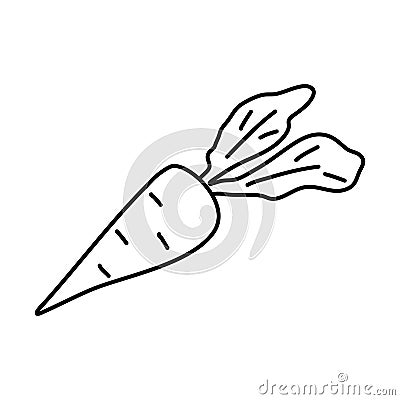 Doodle picture of a carrot. Hand drawn vector illustration Vector Illustration