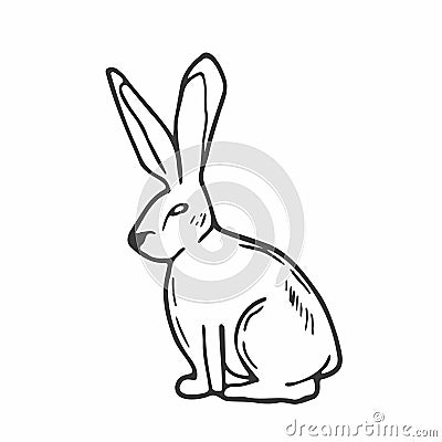 Doodle rabbit sketch. ine art hare animal. Forest concept Vector Illustration