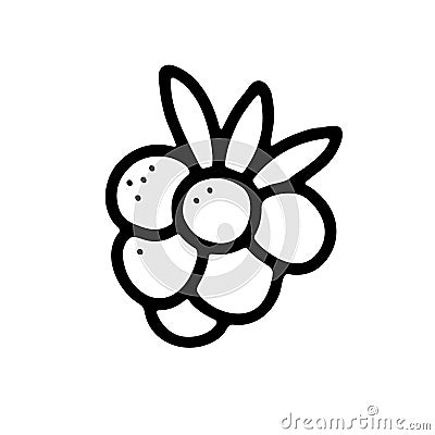 Doodle ripe raspberry. Outline berry with leaves Vector Illustration
