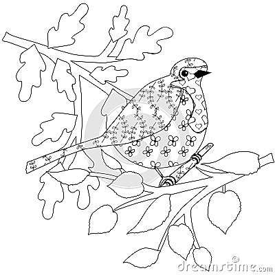 Doodle robin bird, leaves of tree antistress coloring page. Monochrome design element Vector Illustration