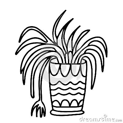 Doodle spider plant in a pot Vector Illustration