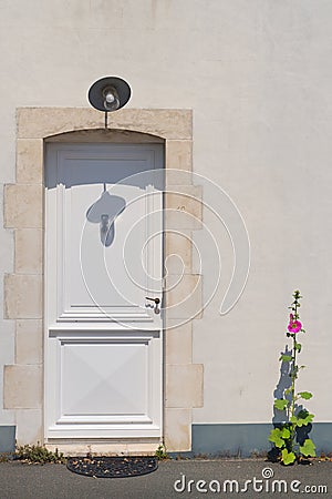 Door with Hollyhocks Stock Photo