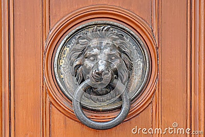 Door knocker lion Stock Photo