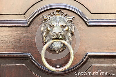 Door knocker lion Stock Photo