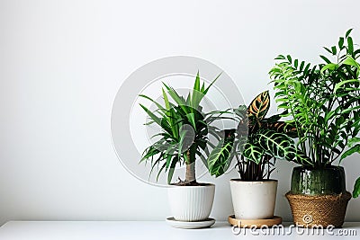 Doorstep Oasis, Welcoming Pottery of Homefront Greenery Stock Photo